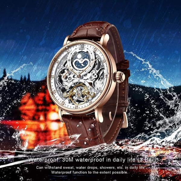 Mens Luxury Skeleton Automatic Mechanical Wrist Watches 